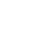 Ground Ambulance Service